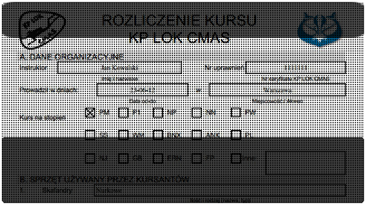 realizacje asystent nurkowania, pdf konwerter, system billingowy